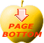 PAGE  BOTTOM
